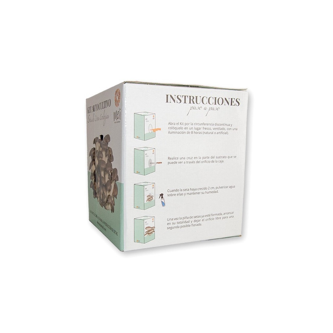 Grow Fresh Oyster Mushrooms at Home - Mico Kit P. ostreatus