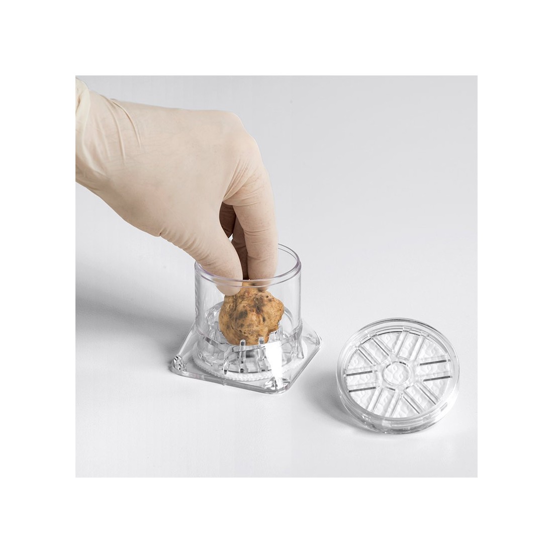 Contentor Expositor Tuberpack para Trufa Gourmet