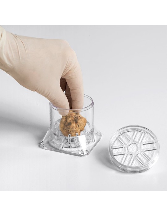Contentor Expositor Tuberpack para Trufa Gourmet