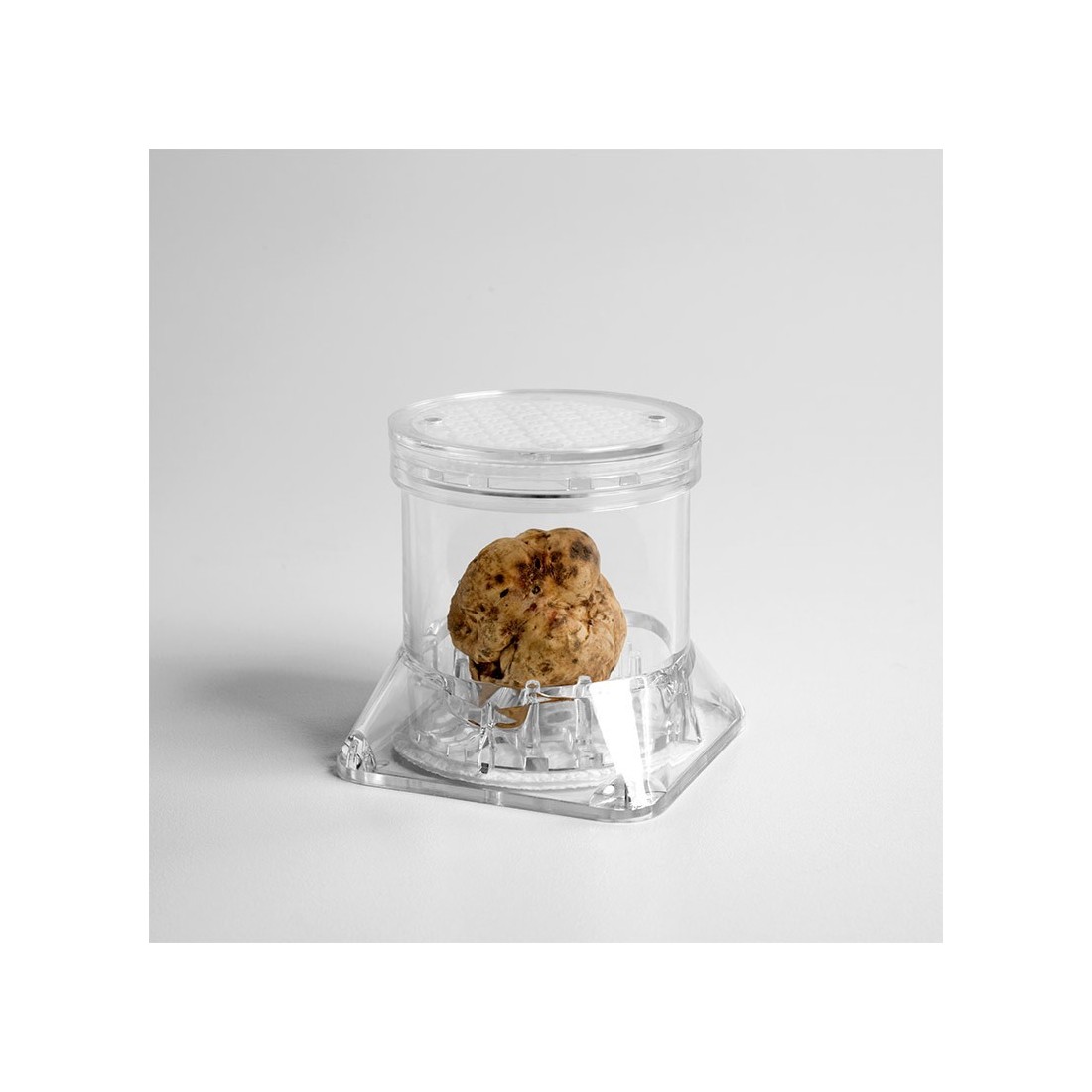 Contentor Expositor Tuberpack para Trufa Gourmet