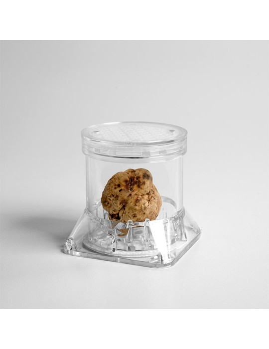 Contentor Expositor Tuberpack para Trufa Gourmet