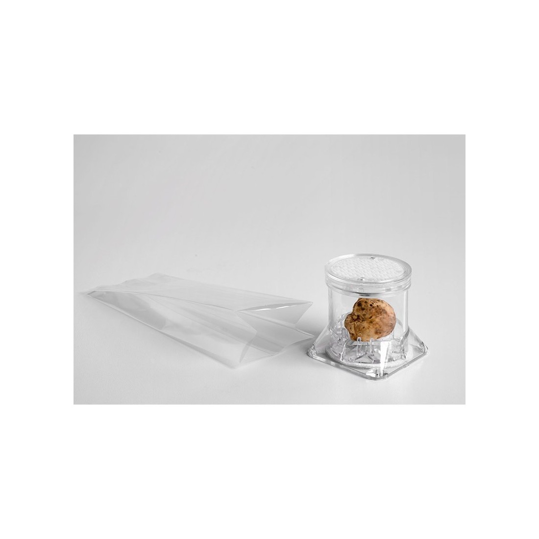 Contentor Expositor Tuberpack para Trufa Gourmet