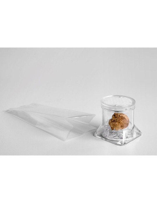 Contentor Expositor Tuberpack para Trufa Gourmet
