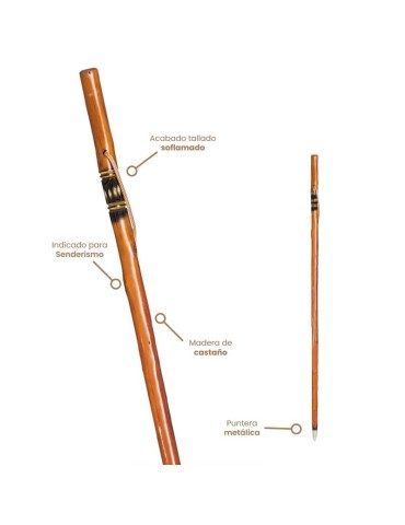 Hand-Carved Chestnut Walking Stick with Metal Tip 2