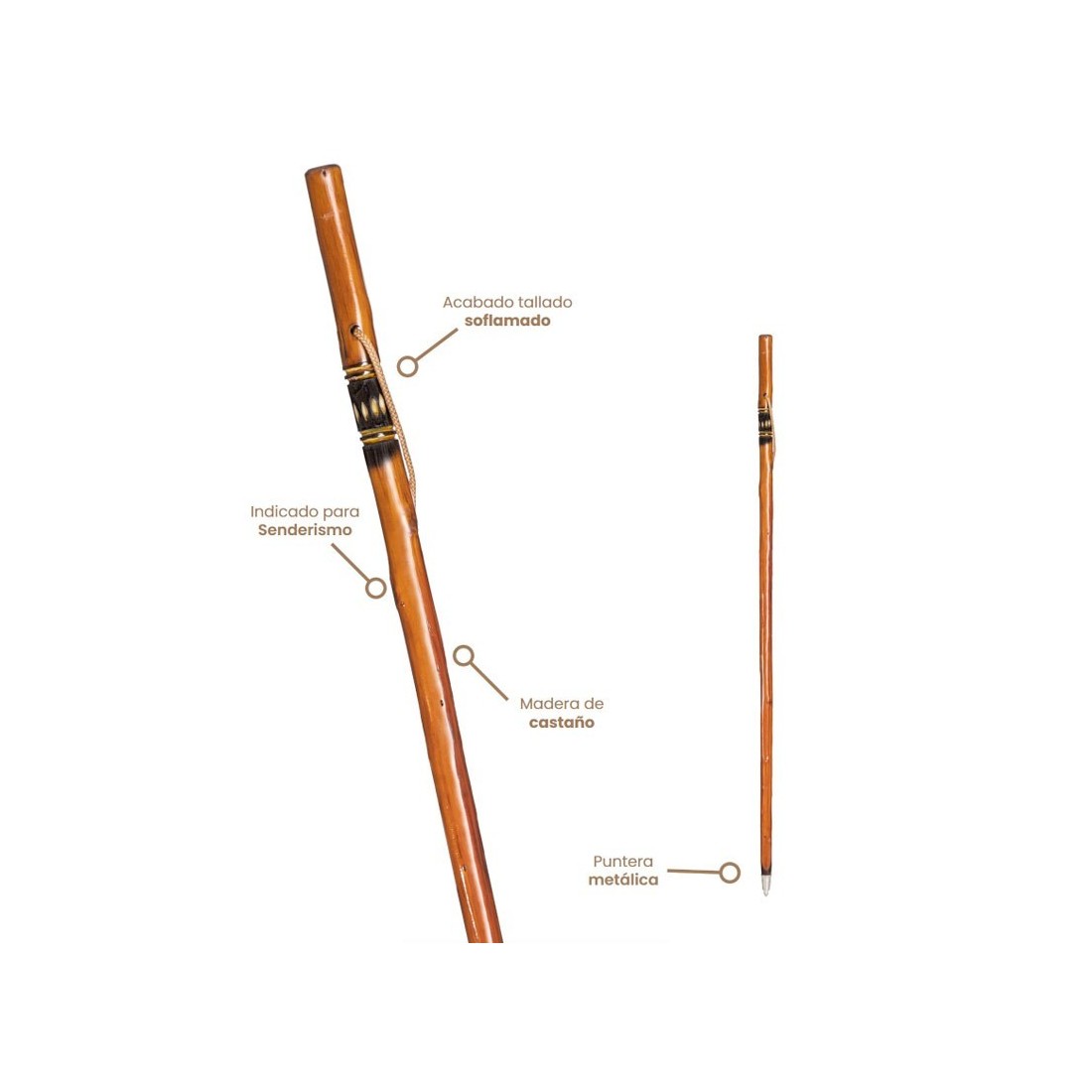 Hand-Carved Chestnut Walking Stick with Metal Tip
