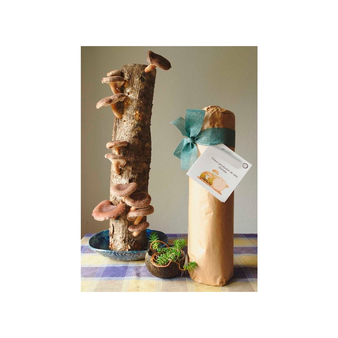 Kit Regalo Tronco Shiitake + Piatto Ceramico Kit Regalo Tronco Shiitake + Piatto Ceramico