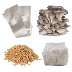 Basic mushroom cultivation kit