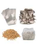 Kit básico de cultivo de setas frescas