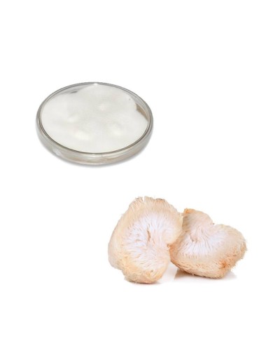 Reines Leonporling-Mycelium - Naturgeschenk für Geist &...