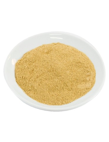 Morchelpilzmehl Bio – Gourmet-Geschmack für jede Küche