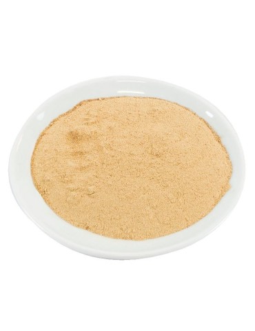 Shiitake Flour Bulk | Umami Flavor & Health Benefits