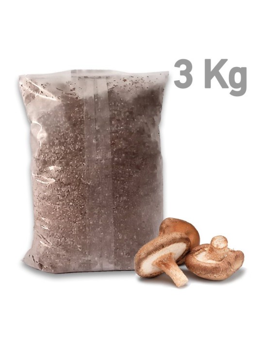 Mycélium Shiitake 3kg - Cultivez Vos Champignons Bio Mycélium Shiitake 3kg - Cultivez Vos Champignons Bio