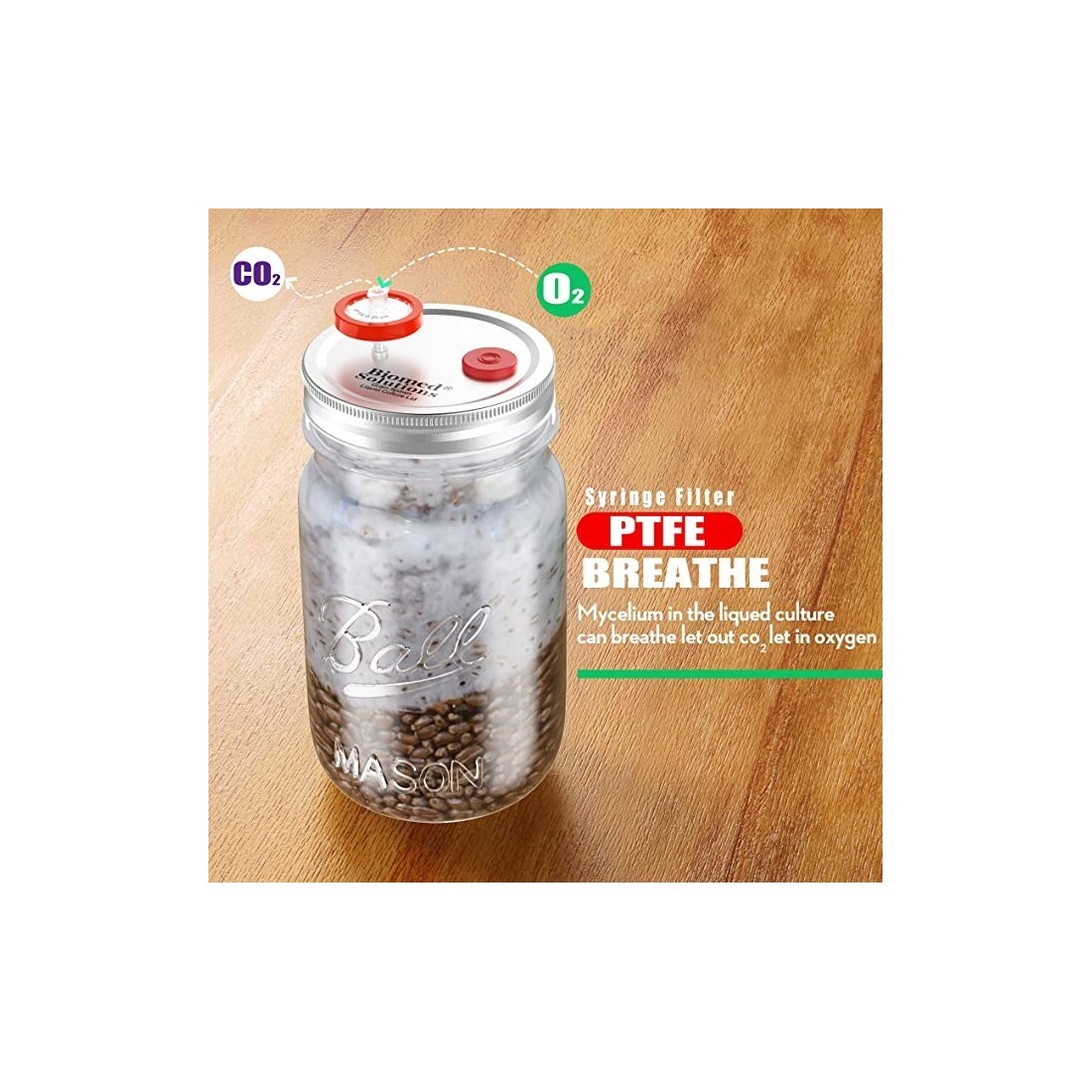 Cultive Cogumelos com 6 Tampas Líquidas Profissionais