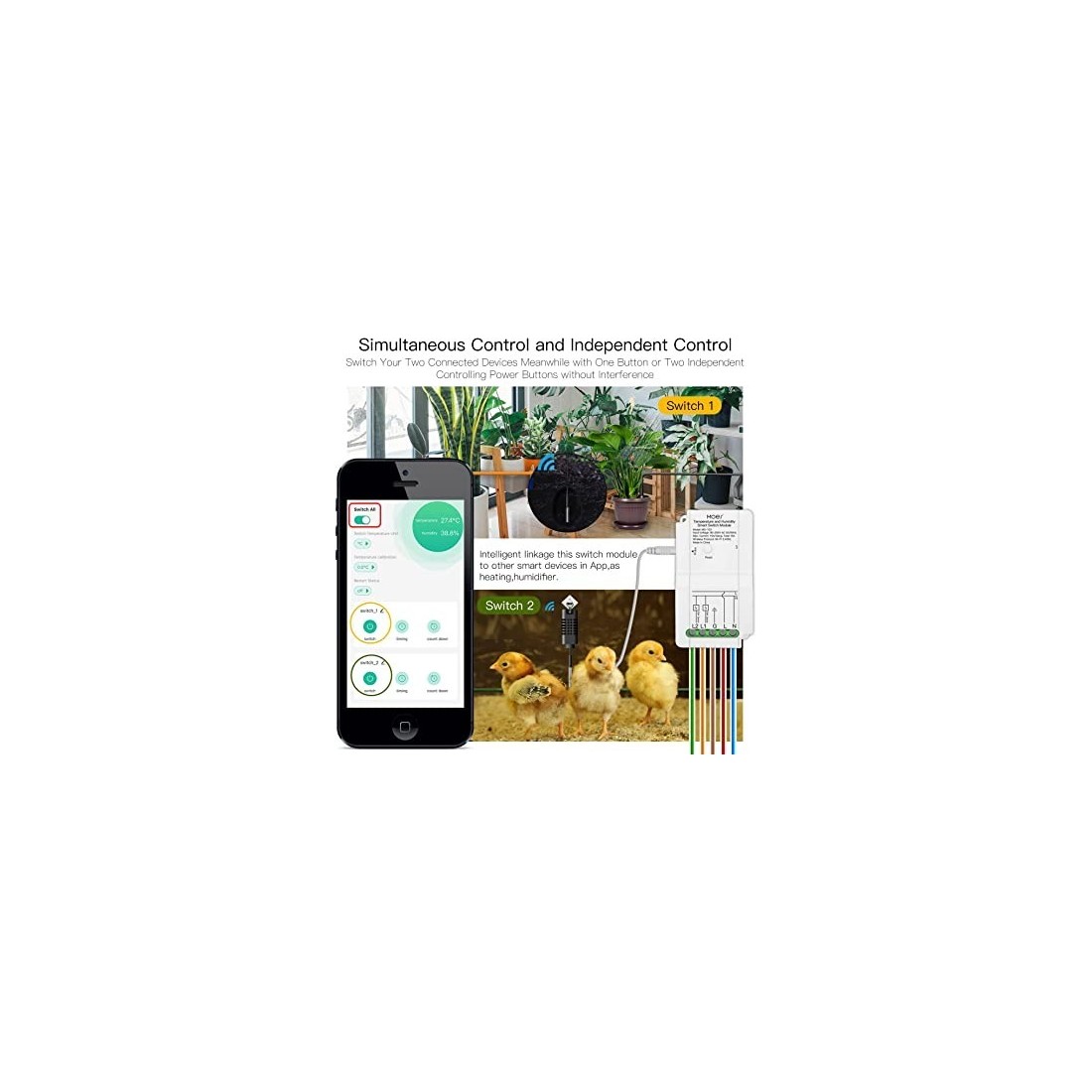 Controllo Intelligente WiFi per Casa