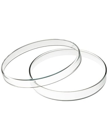 Plaques de Petri 120mm x 20mm - Lot de 5 Unités Fiables