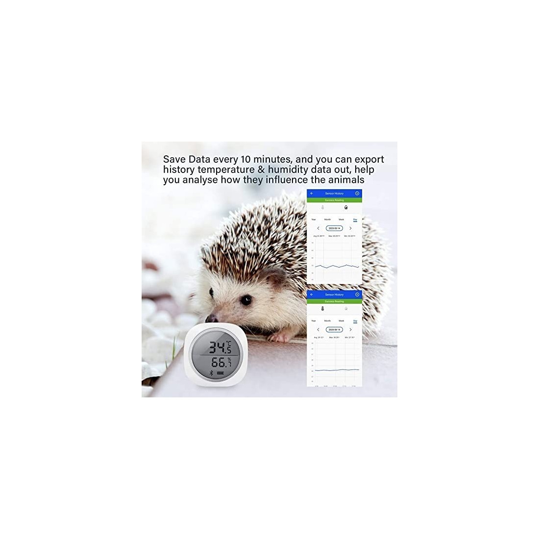 Digital Temp & Humidity Logger - Real-Time Monitoring &...