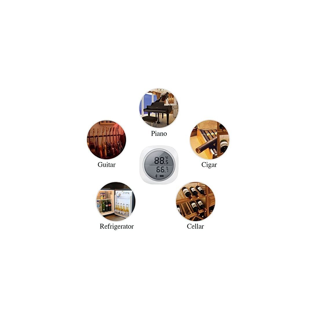 Digital Temp & Humidity Logger - Real-Time Monitoring &...