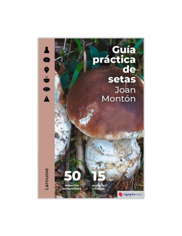 Practical Mushroom Guide: Identify & Explore Over 200...