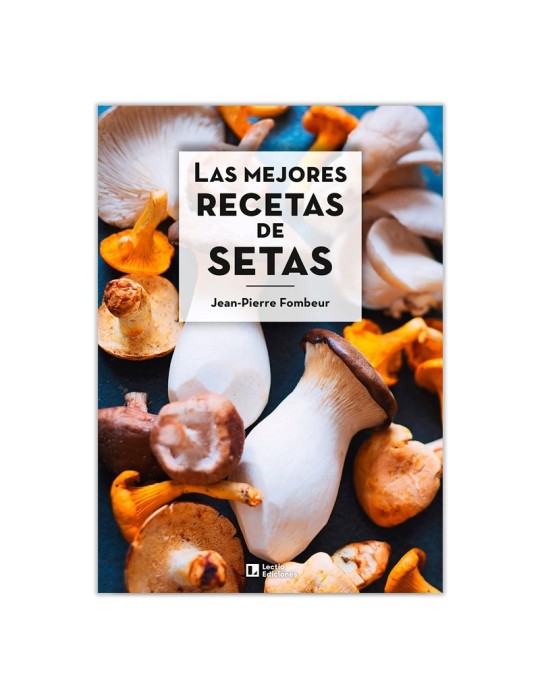 Mejores recetas de setas | Descubre sabores únicos Mejores recetas de setas | Descubre sabores únicos