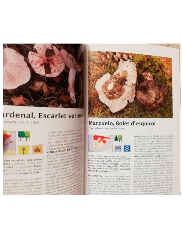 Hongos e Cogumelos - Guia Definitivo de Micologia 2