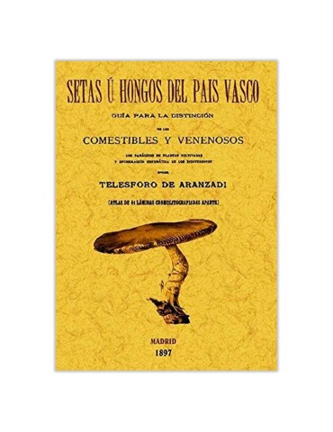 Guide Champignons Pays Basque - Identification et Tradition