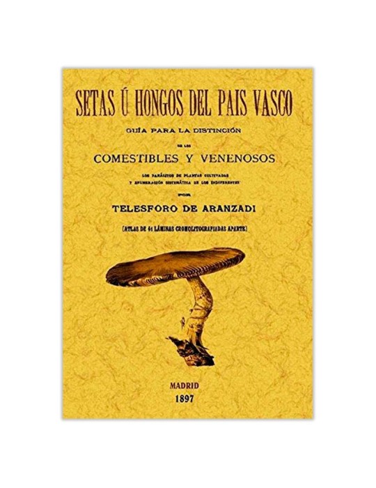 Guía Setas País Vasco - Identificación Micología Guía Setas País Vasco - Identificación Micología