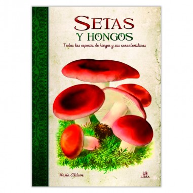 SETAS Y HONGOS - OBRAS SINGULARES