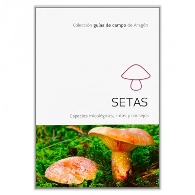 SETAS - ESPECIES MICOLOGICAS - RUTAS...