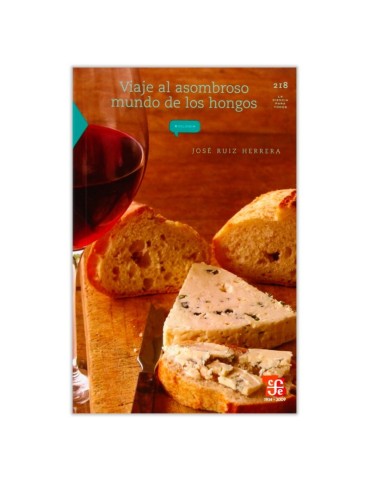 Pilzreigen entdecken - Voyage in die verborgene Welt