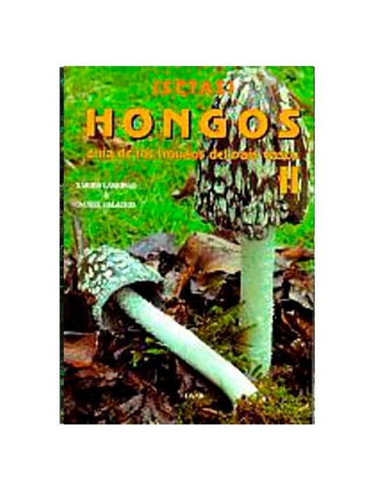 Mushrooms II: Guide to Basque Country Fungi