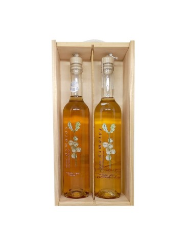 Galician Mushroom Liqueur Pack - Unique Gift & Sensory... 2