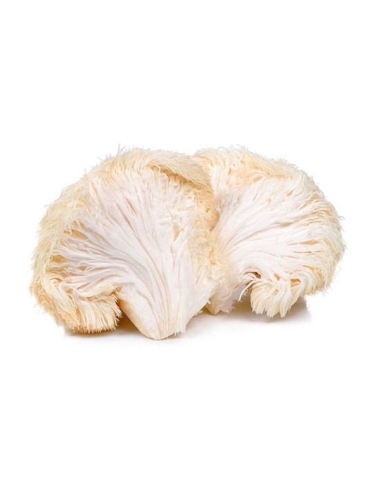 Frischer Löwenzahnpilz, 800g, Hericium erinaceus