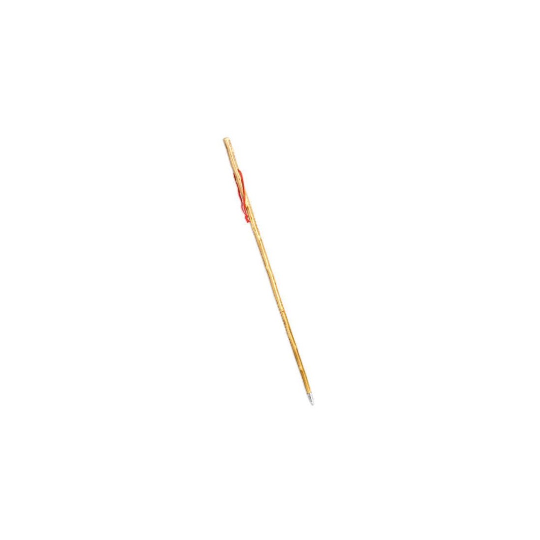 Cane mountain boy brun Cane mountain boy brun