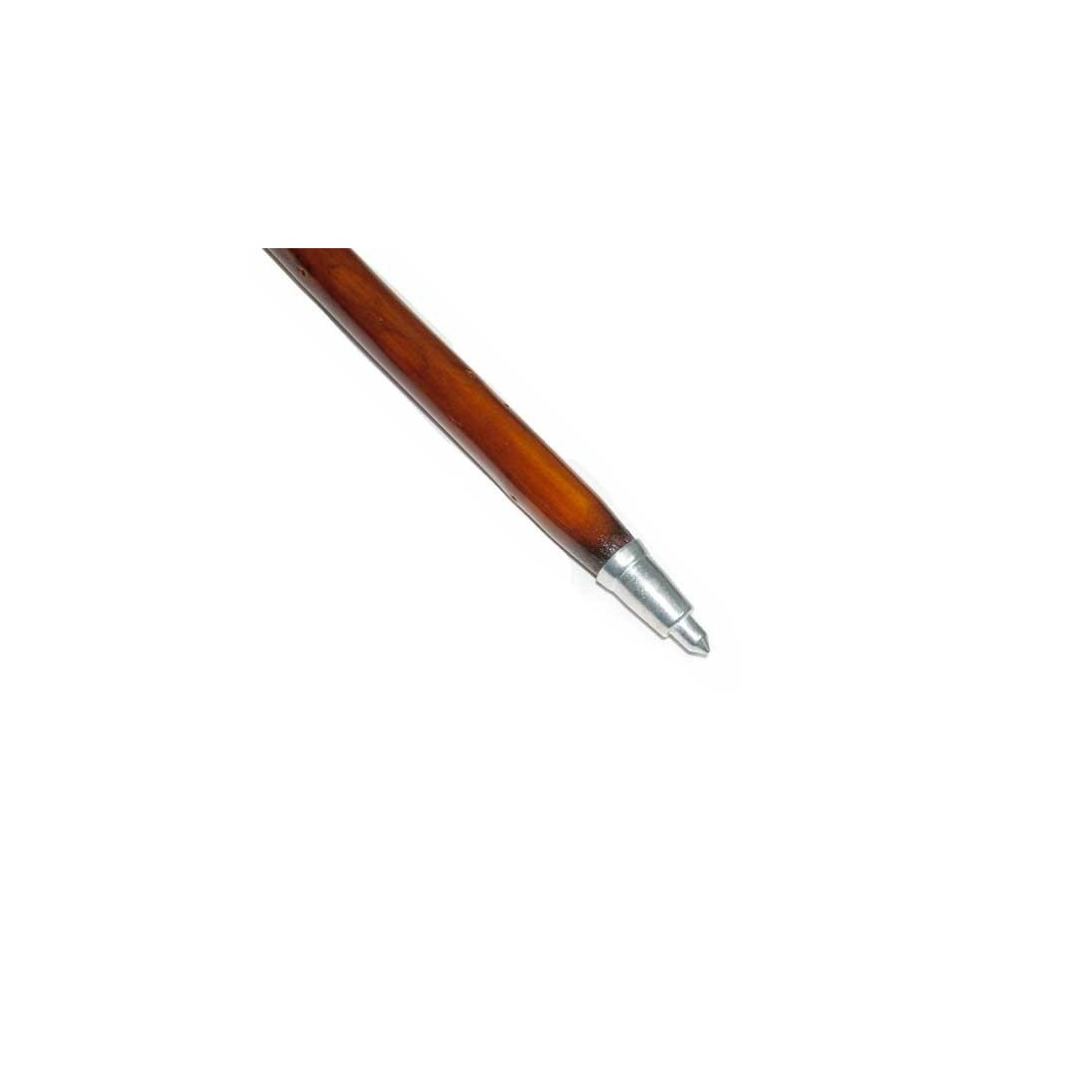 Dark brown cane for mushroom foraging