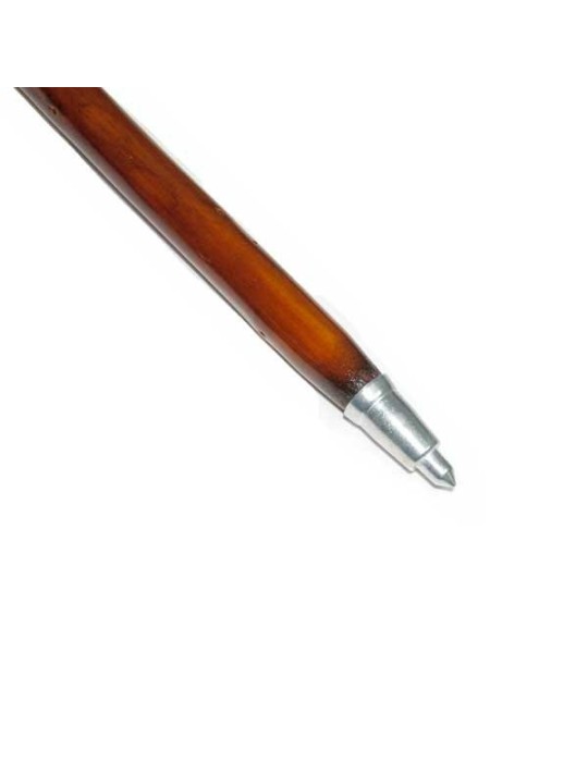 Dark brown cane for mushroom foraging