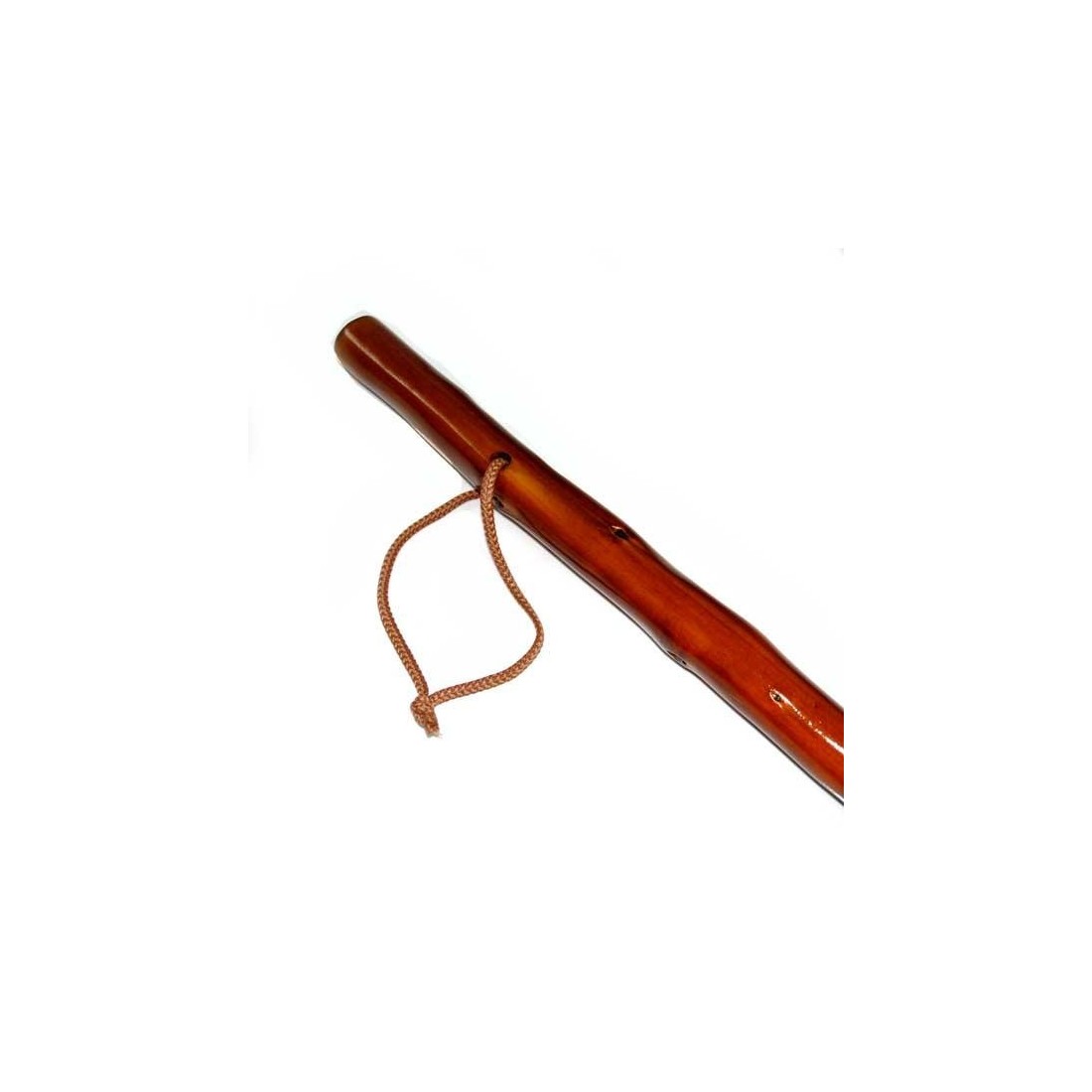 Dark brown cane for mushroom foraging