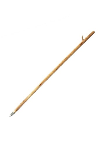 Bastón de madera natural para buscar setas 2