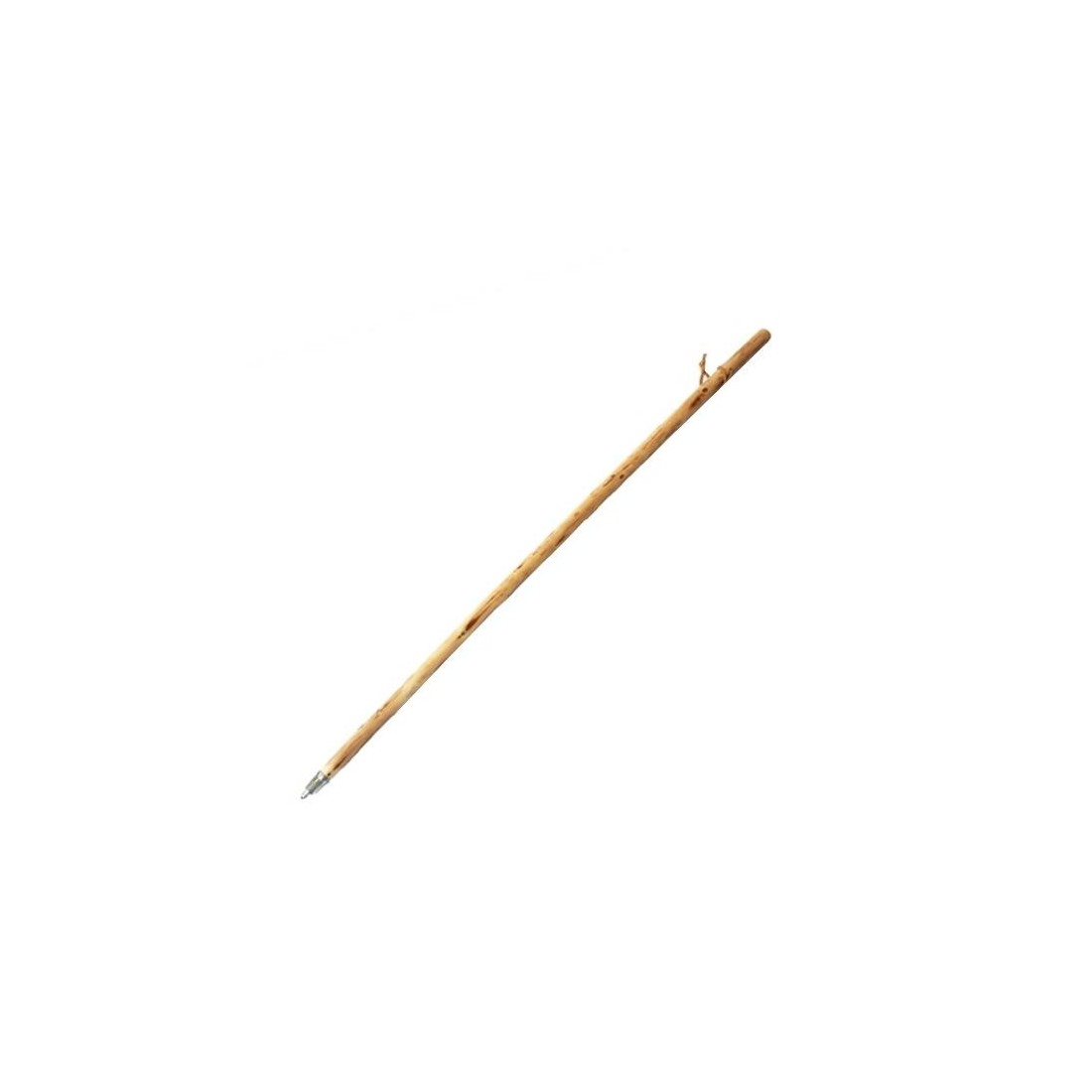 Bastón de madera natural para buscar setas