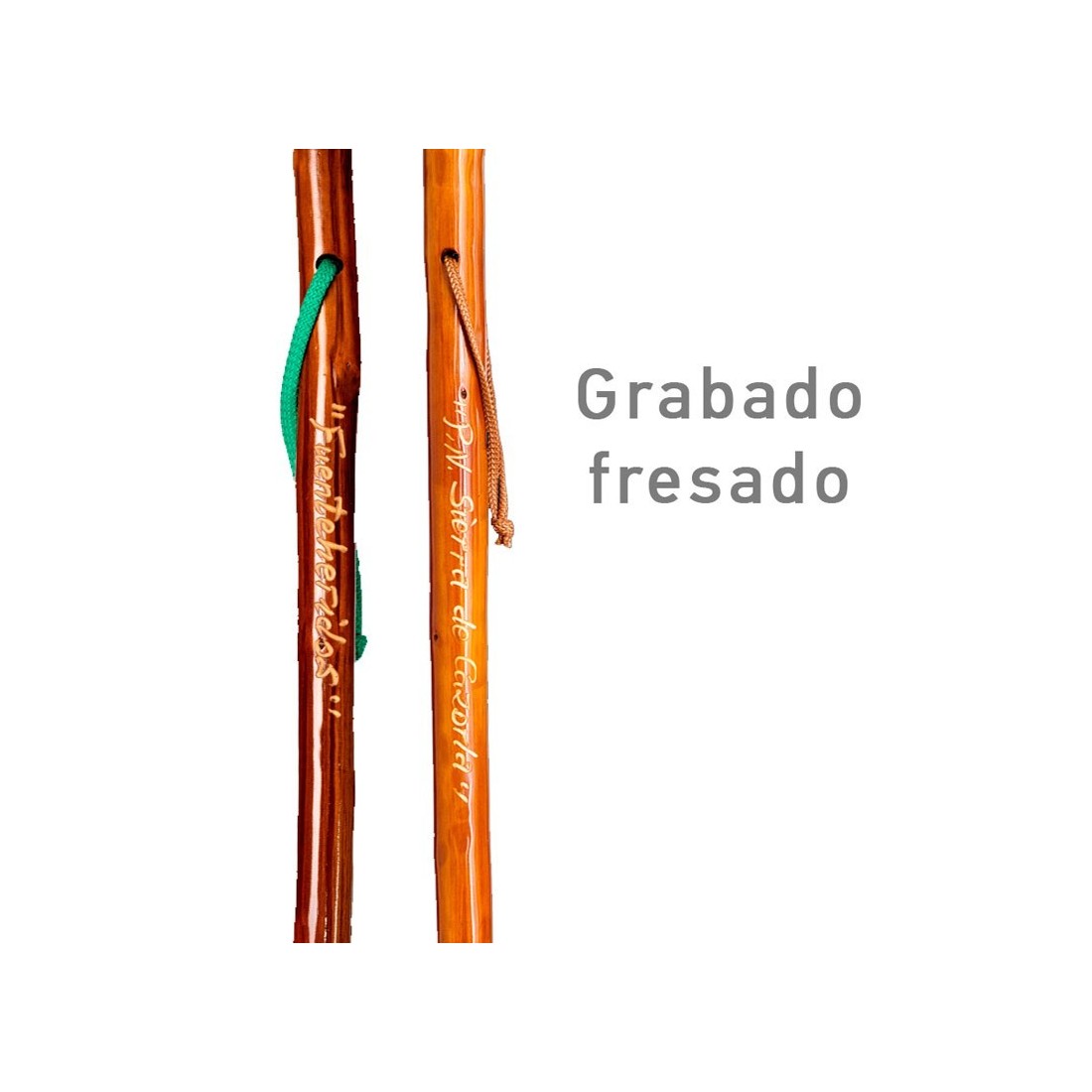 Bastón Castaño Oscuro Personalizado para Explorar Setas