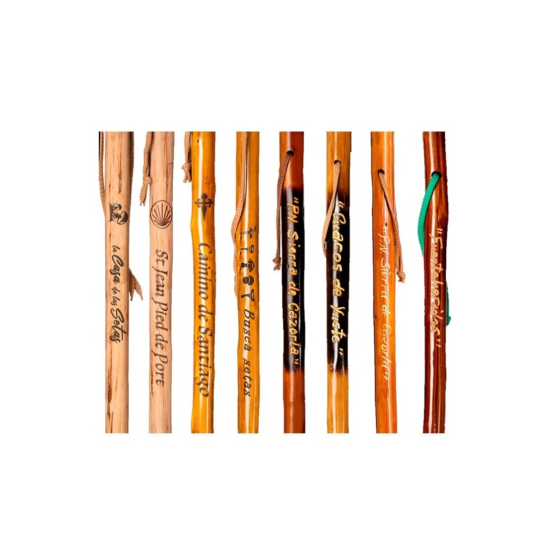 Dark Chestnut Wood Mushroom Picking Cane - Stylish &...