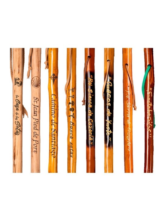 Dark Chestnut Wood Mushroom Picking Cane - Stylish &...