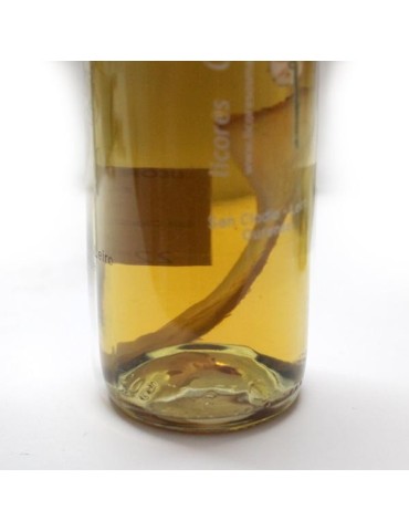 Licor de Boletus 50 cc 2