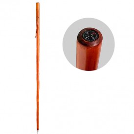 Wooden cane with compass