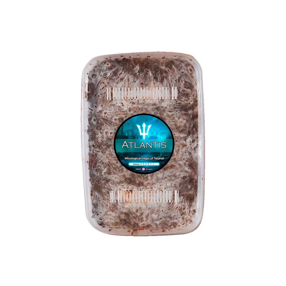 Coltiva Tartufi Neri con Kit Atlantis - Grow Kit Tartufo