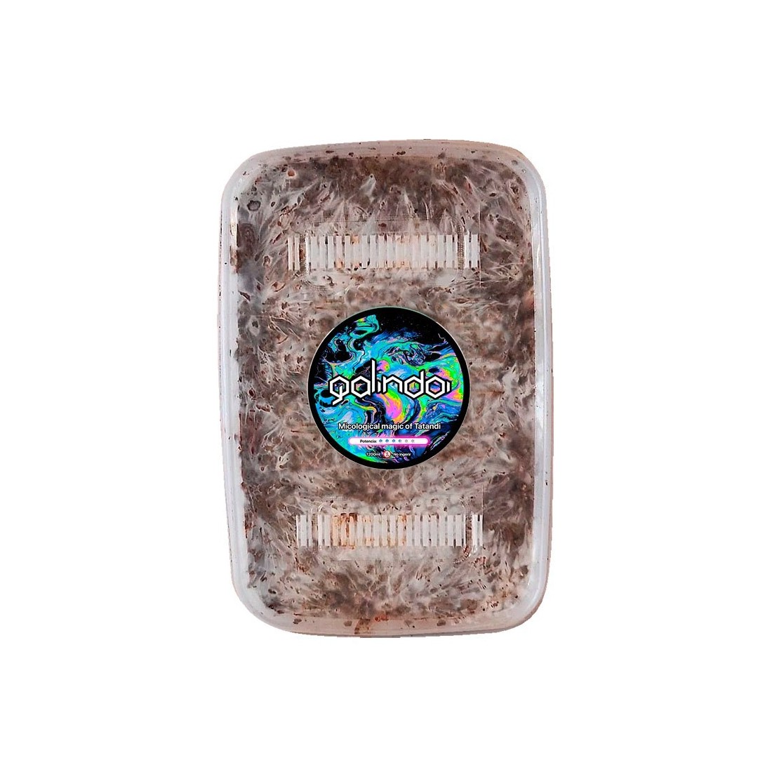 Kit Coltivazione Tartufi Galindoi - Cresci Tartufi Neri...