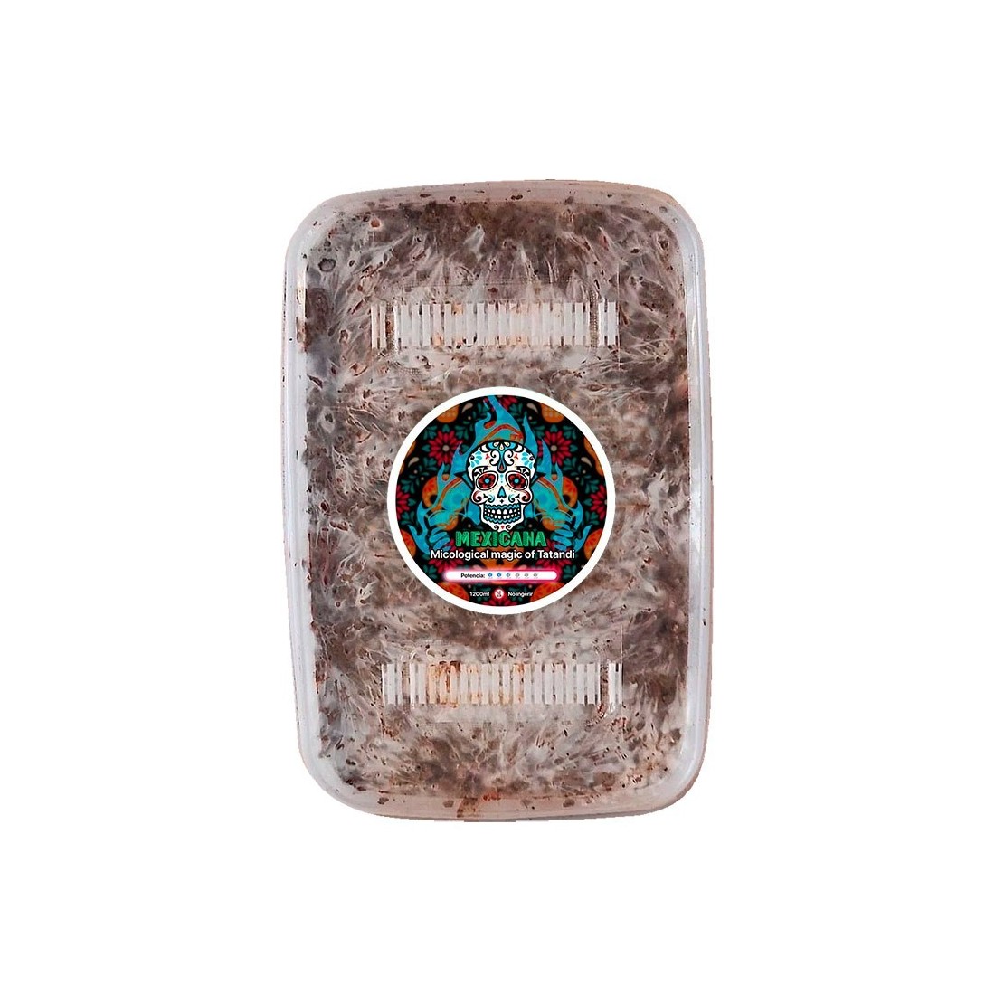 Coltiva Tartufi Messicani - Grow Kit Autentico