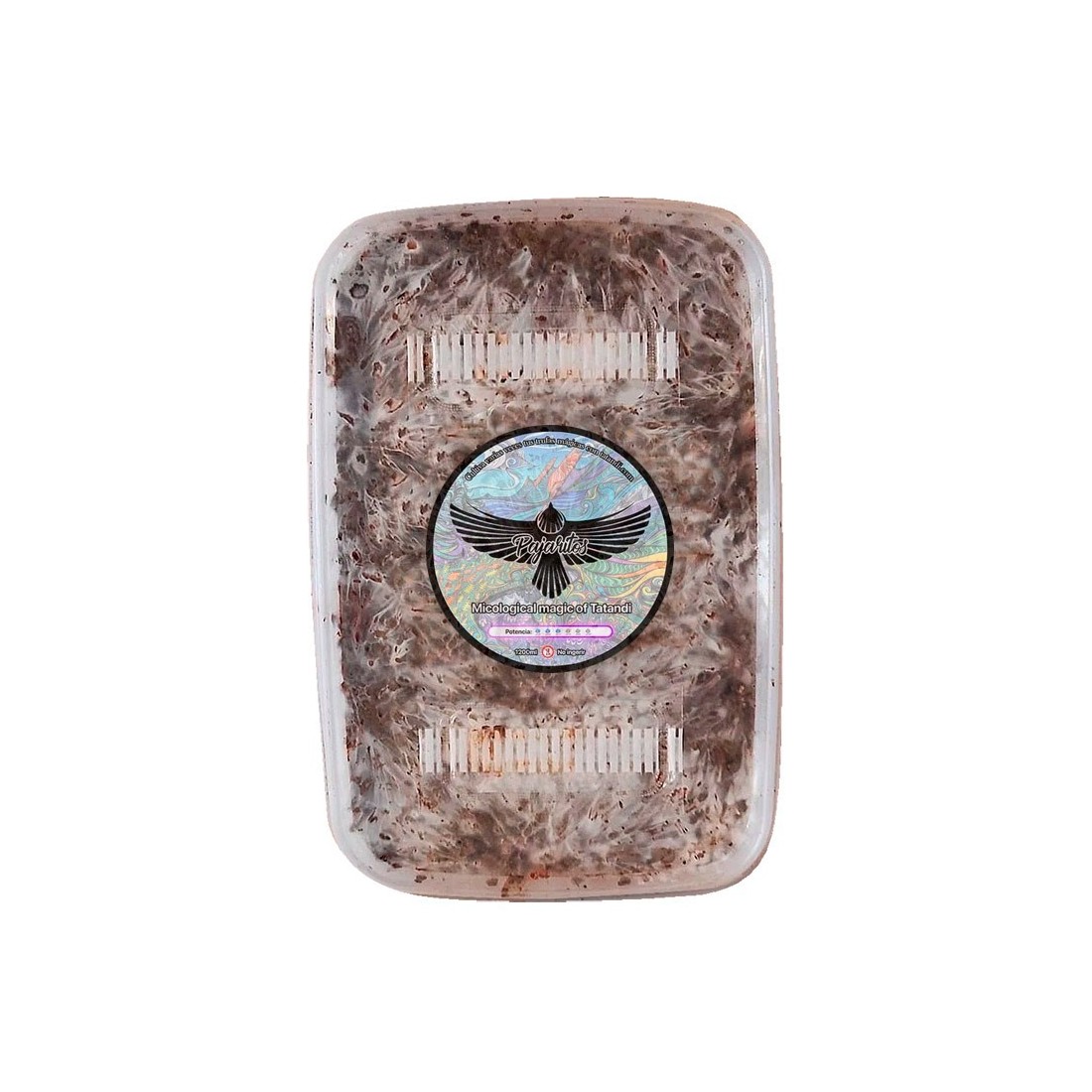 Grow Pajaritos Truffles at Home - Gourmet Delights Kit