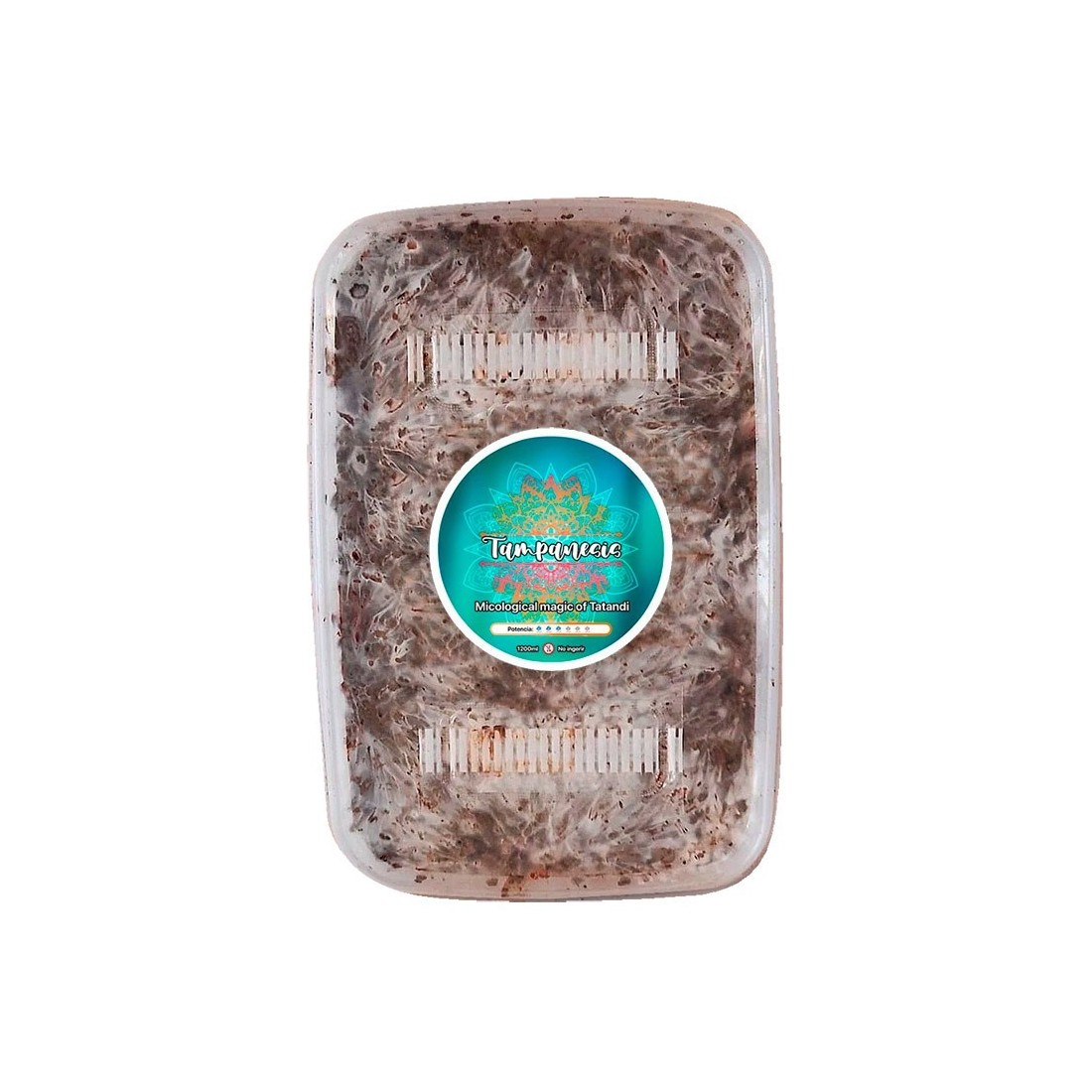 Cultive Trufas Tampanensis - Grow Kit Gourmet Sustentável