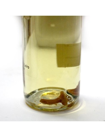 Licor de Rebozuelo, C. cibarius, 50 cc 2