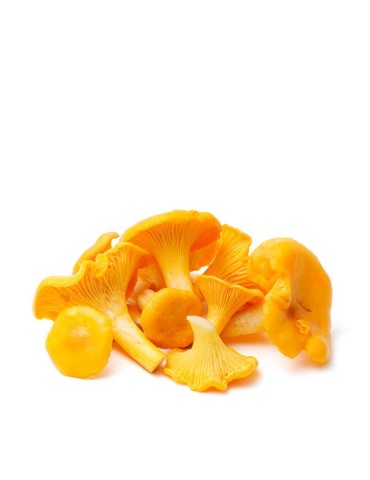 Frische Pfifferlinge kaufen – Authentische...